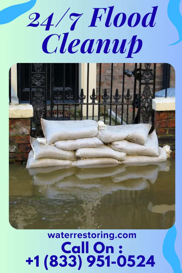 24/7 Flood Cleanup in Osyka, MS