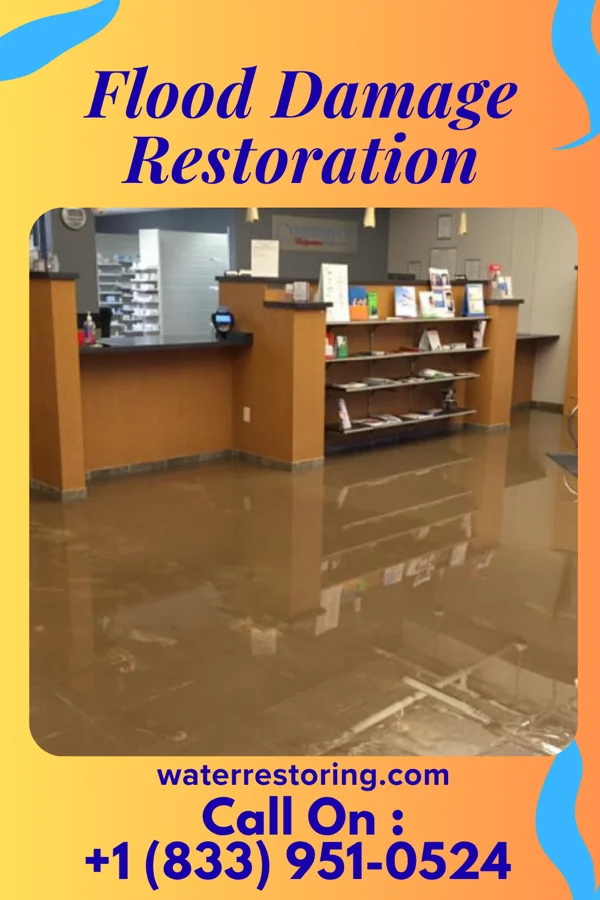 Flood Damage Restoration in Osyka, MS