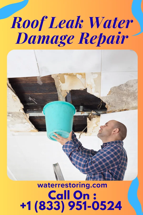 Roof Leak Water Damage Repair in Osyka, MS